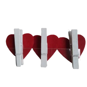 CLIP CUORI IN LEGNO (3 PZ) 2