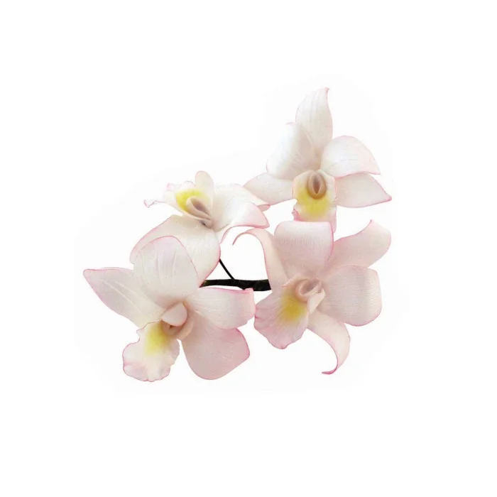 Set 5 tagliapasta Fiore Orchidea Singapore Jem