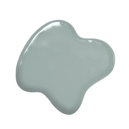 Colorante Verde Eucalipto a base olio Eucalyptus (20ml) Colorante Alimentare per Dolci e Torte Cake Design Colour Mill.