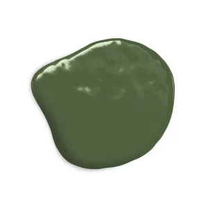 Colorante Verde Oliva a Base Olio Olive(20ml) Colorante Alimentare per Dolci e Torte Cake Design Colour Mill. 2
