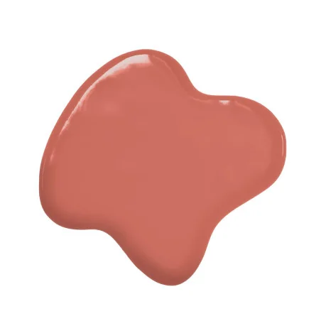 Colorante Marrone Ruggine a Base Olio Rust (20ml) Colorante Alimentare per Dolci e Torte Cake Design Colour Mill.