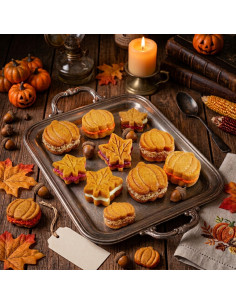 PIASTRA A/ADERENTE 12 WHOOPIE AUTUNNO