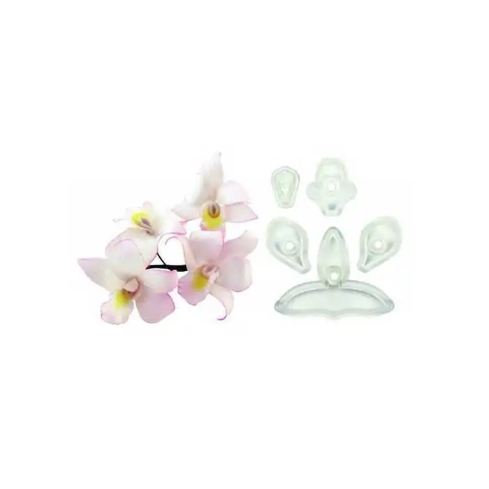 SET 5 TAGLIAPASTA ORCHIDEA SINGAPORE JEM