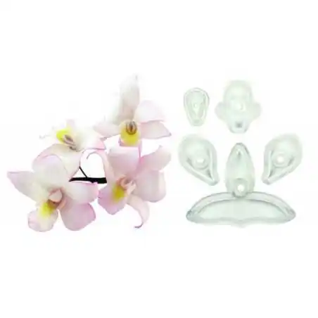 SET 5 TAGLIAPASTA ORCHIDEA SINGAPORE JEM