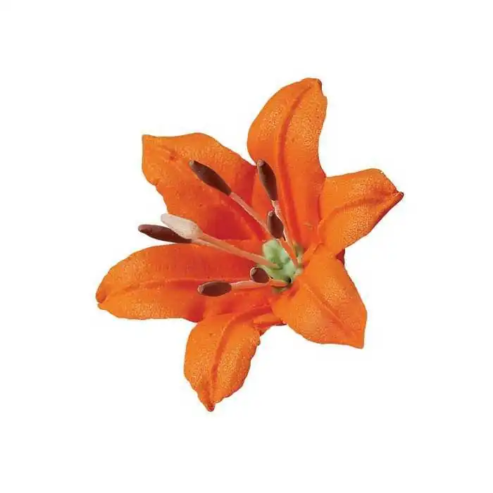 CF. 30 PISTILLI GIGLIO ASSORTITI WILTON Accessori Dummy Polistirolo WILTON