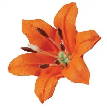 CF. 30 PISTILLI GIGLIO ASSORTITI WILTON Accessori Dummy Polistirolo WILTON
