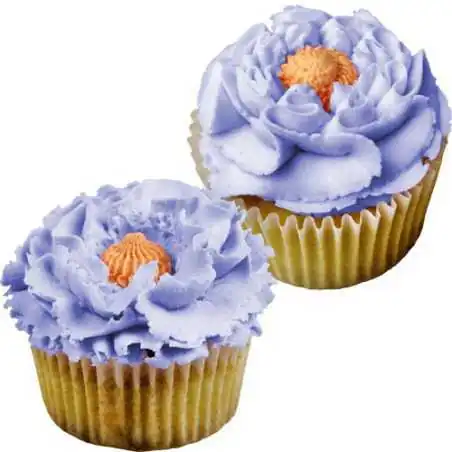 SET 2 BECCUCCI 14T 15T TWIST TWIST JEM Decorazioni dolci e Cupcakes con Sac a Poche